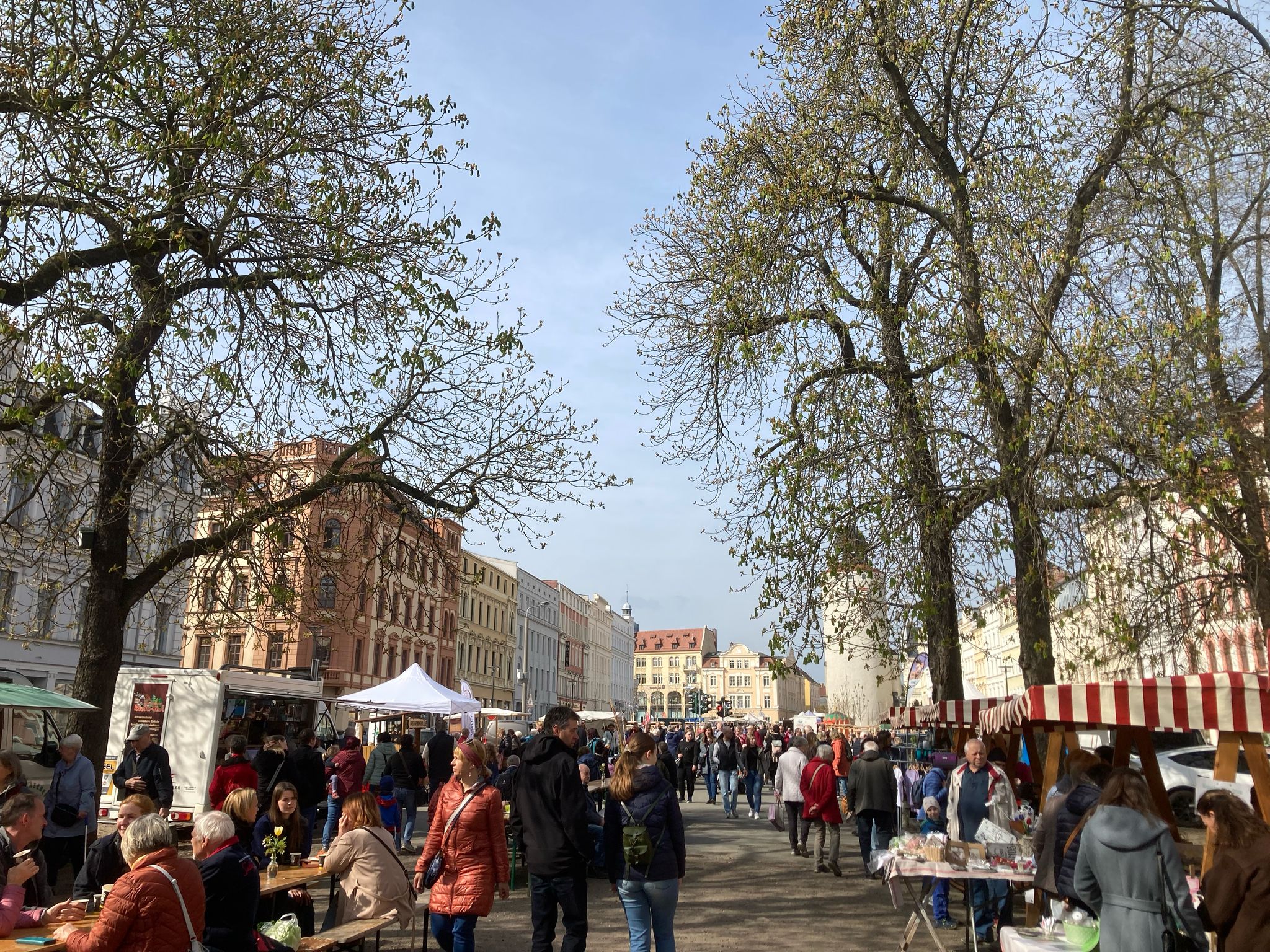 Naschallee auf dem Görlitzer Elisabethplatz
